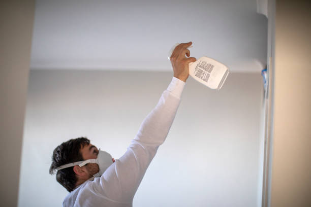 Best Residential Mold Removal  in Weatogue, CT