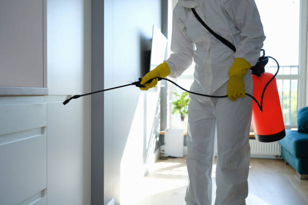 Best Home Mold Removal  in Weatogue, CT