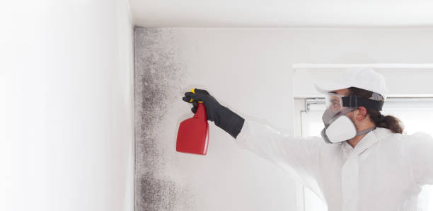 Best Crawl Space Mold Removal  in Weatogue, CT